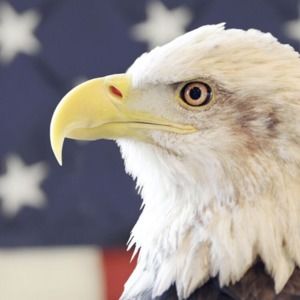 Meet your Posher, Marlene